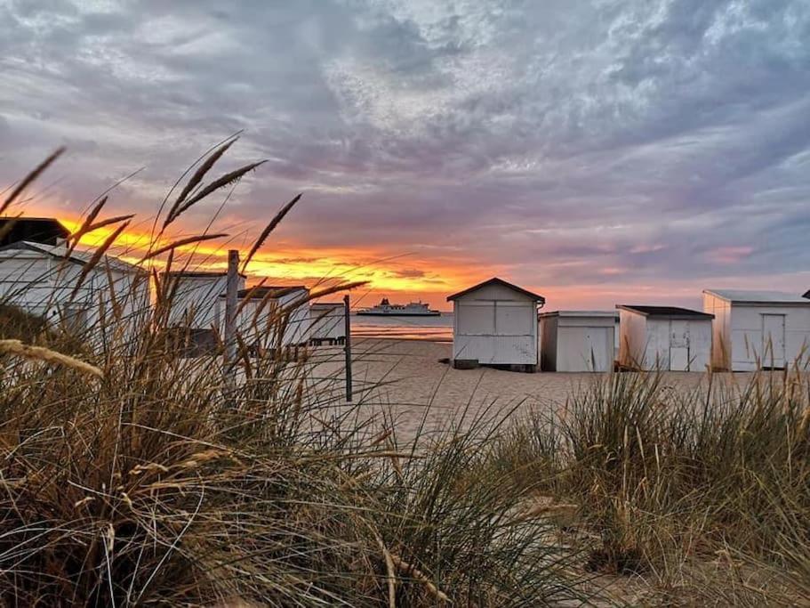 Appart 4 Pers Plage Vue Mer カレー エクステリア 写真